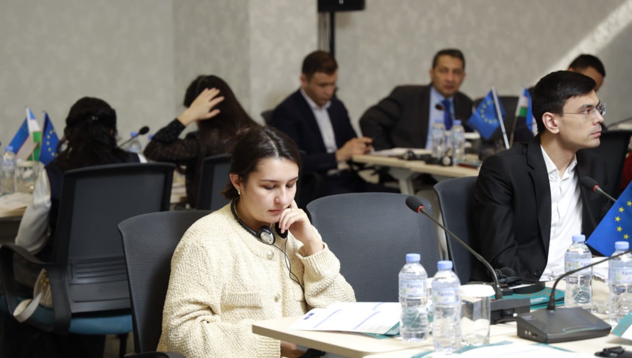 Nogironligi bo‘lgan shaxslar huquqlari: xalqaro andozalar va milliy amaliyot