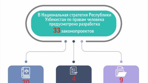 Inson huquqlari bo'yicha O'zbekiston Respublikasi Milliy strategiyasi 