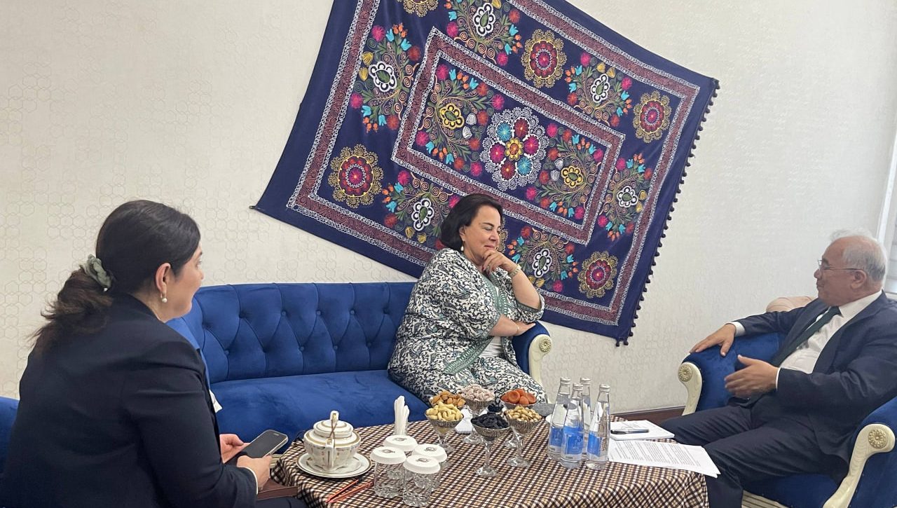 Milliy markaz direktori  BMTning Xotin-qizlarga nisbatan kamsitishni bartaraf etish qo‘mitasi raisi bilan uchrashdi