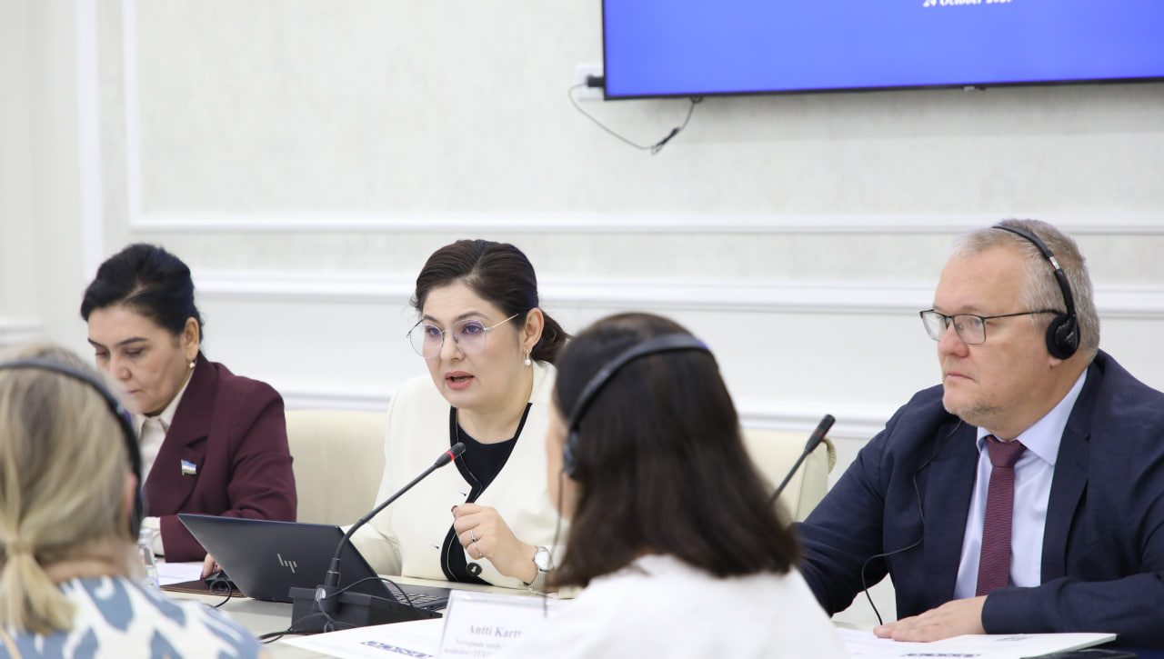 “Ayollar, tinchlik va xavfsizlik” rezolyutsiyasining 2026–2030-yillarga mo‘ljallangan Milliy harakatlar dasturi bo‘yicha milliy maslahatlashuv natijalari