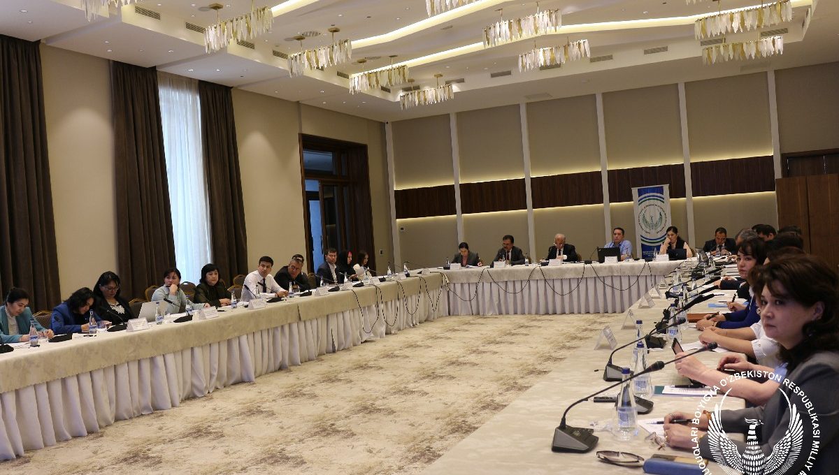 Nogironlar huquqlari to‘g‘risidagi konvensiya qoidalarini amalga oshirishda davlat organlarining roli