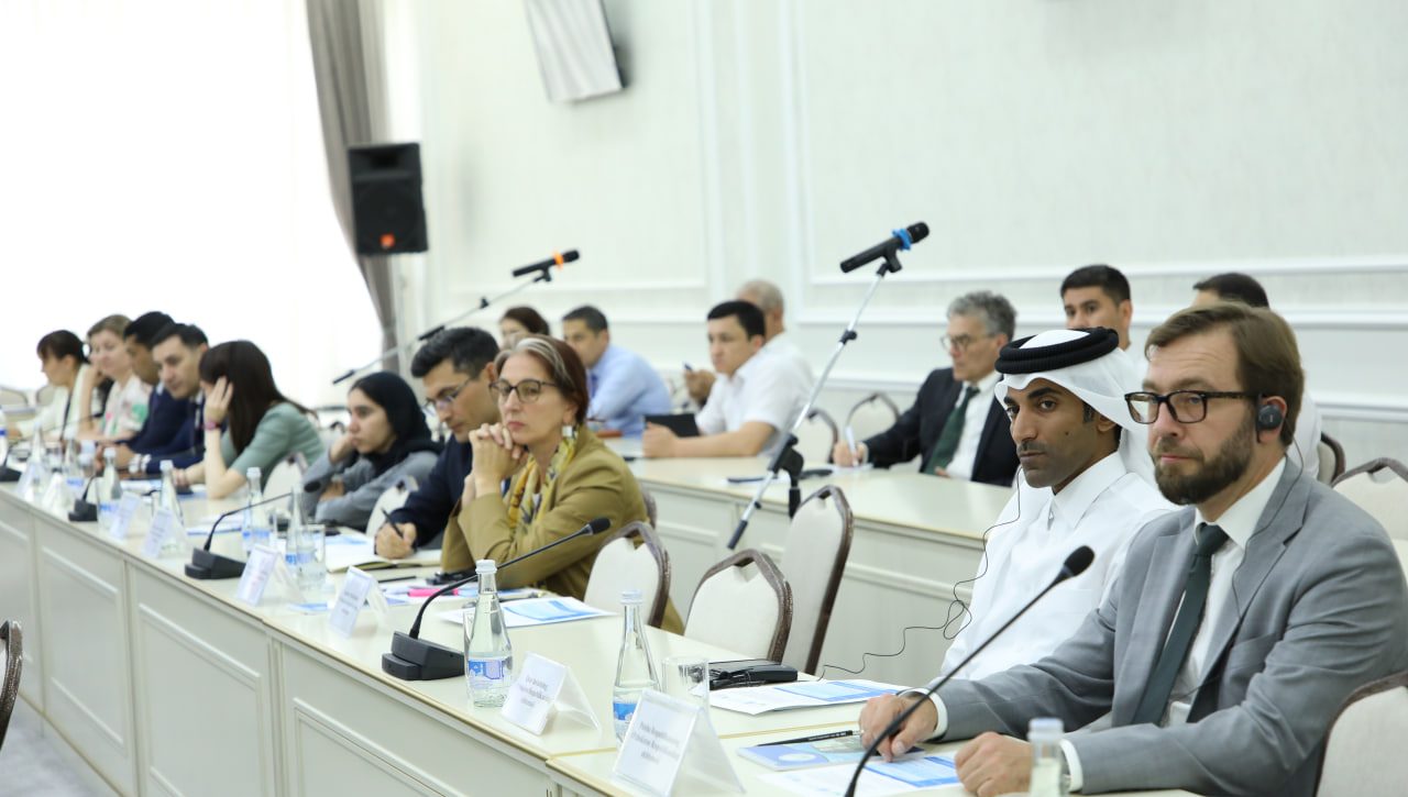 INSON HUQUQLARI BO‘YICHA 2030 YILGACHA MILLIY STRATEGIYA LOYIHASI YUZASIDAN ELCHIXONALAR VA XALQARO TASHKILOTLAR VAKILLARI BILAN MASLAHATLASHUVLAR