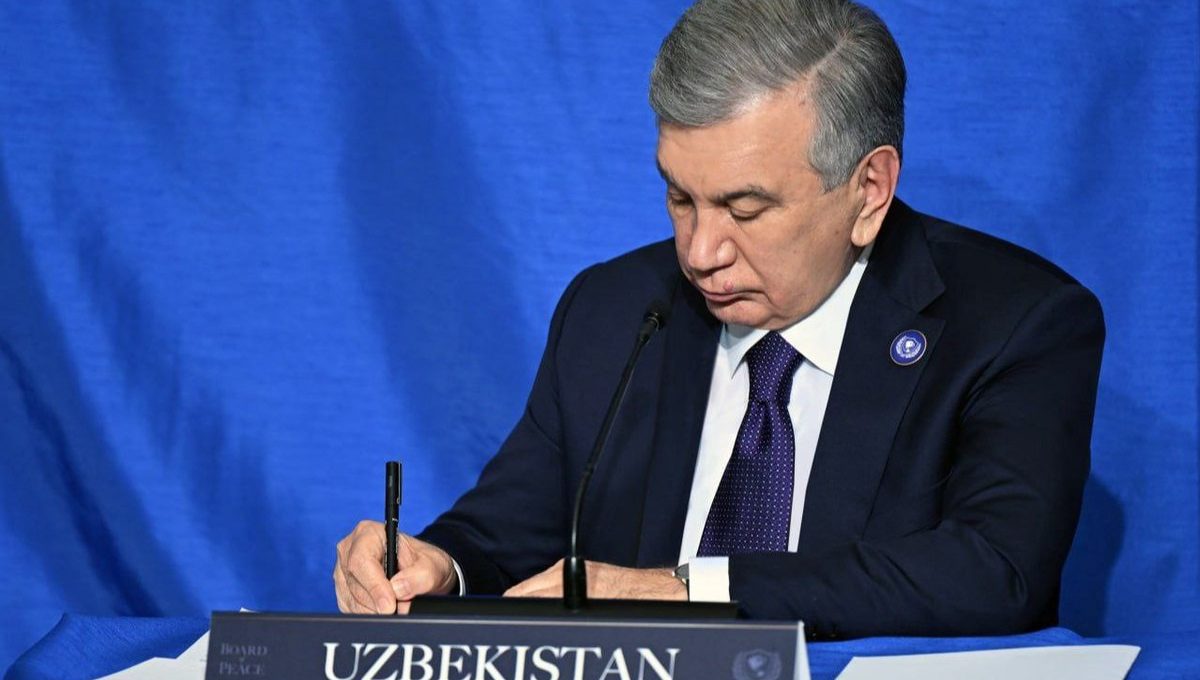 Oʻzbekiston Prezidenti Tinchlik kengashining Gʻazo sektori boʻyicha faoliyatining ustuvor yoʻnalishlarini belgilab berdi