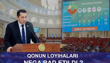 Qonun loyihalari nega rad etildi?