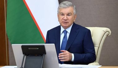 “Яшил макон” лойиҳасини амалга оширишда дарахтлар парвариши ва яшовчанлиги устувор бўлади