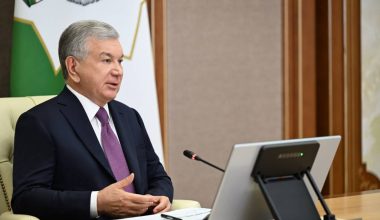 Рассмотрены вопросы внедрения «зеленых» технологий в тепличное хозяйство