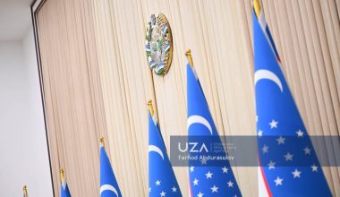 Конституционная жалоба: новые возможности защиты прав человека