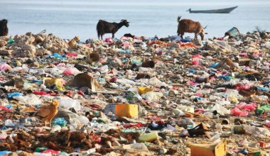Mikroplastik xavfi: insoniyat va sayyora taqdiri uchun global chaqiriq