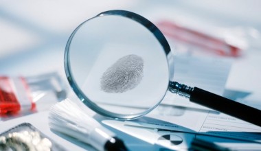 Sud-ekspertlik faoliyati raqamlashtiriladi va nodavlat institutlar roli kuchaytiladi