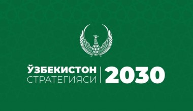 Амалдаги Стратегияда 100, янгиланаётган лойиҳасида эса 451 та мақсад мужассам