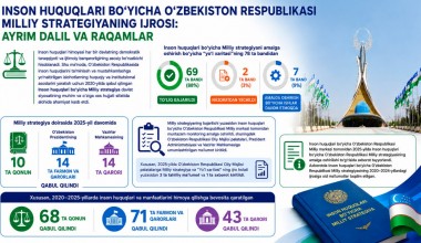 Инсон ҳуқуқлари бўйича Ўзбекистон Республикаси Миллий стратегиясининг ижроси: айрим далил ва рақамлар