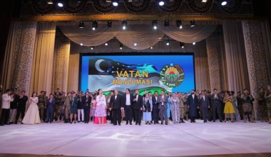 Vatan manzumasi