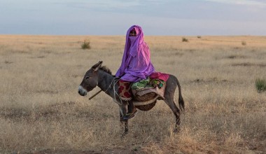 Более миллиарда человек могут потерять землю и жилье в ближайшие пять лет
