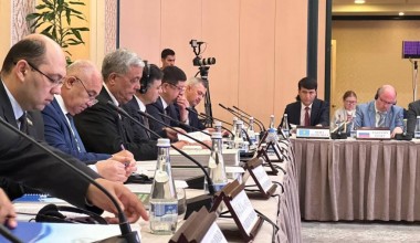 Barqaror rivojlanish maqsadlari va Konstitutsiya:  SHHT mamlakatlari tajribasi